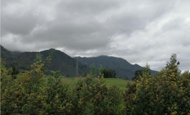 Finca en Venta Sesquilé Cundinamarca