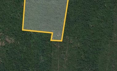 HECTAREAS EN LA ZONA DE PARAISO MERIDA