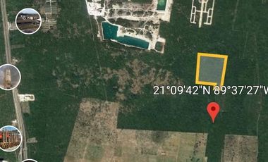 HECTAREAS EN LA ZONA DE PARAISO MERIDA