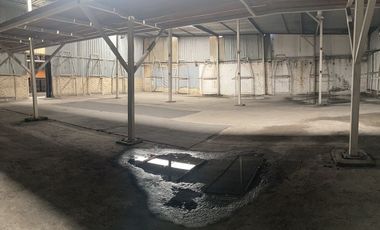 Bodega o Local Comercial en Renta en Insurgentes Sur