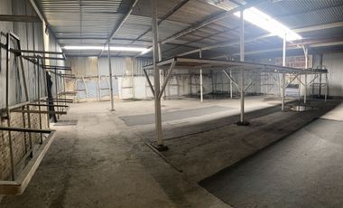 Bodega o Local Comercial en Renta en Insurgentes Sur