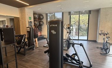 Estudio en renta interlomas