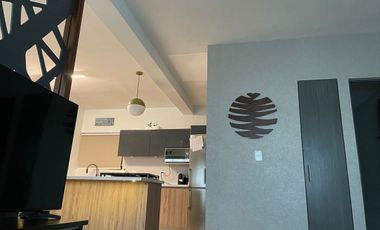 DEPARTAMENTO RENTA ZONA SAN NICOLAS DE LOS GARZA NUEVO LEON