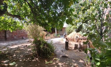 Arriendo excelente casa para uso comercial con amplio terreno 5D-2B Pedro Mira