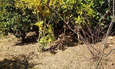 Arriendo Casa Amplia y Cómoda  en Jardín del Mar