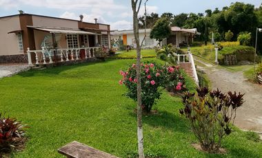 FINCA EN VENTA EN VIA PEREIRA
