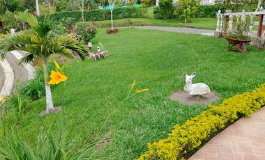 FINCA EN VENTA EN VIA PEREIRA