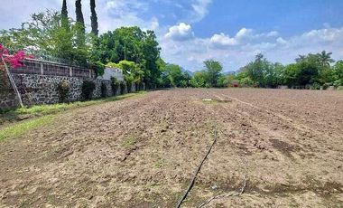 TERRENO EN VENTA YAUTEPEC
