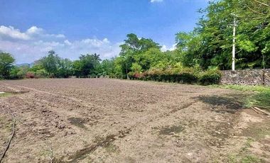 TERRENO EN VENTA YAUTEPEC