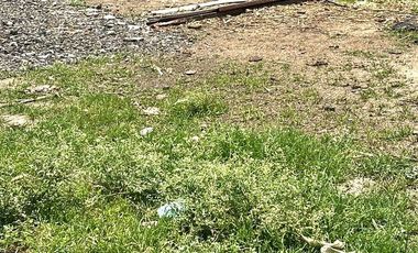 TERRENO EN VENTA YAUTEPEC
