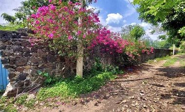 TERRENO EN VENTA YAUTEPEC