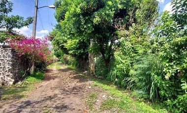 TERRENO EN VENTA YAUTEPEC