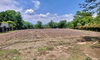 TERRENO EN VENTA YAUTEPEC
