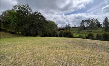 LOTES EN PARCELACIÓN SECTOR FIZEBAD