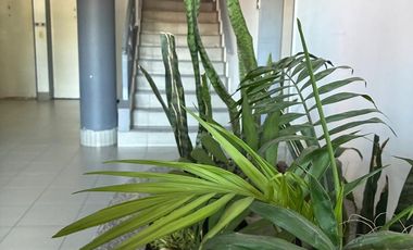 ALQUILER 3 AMB C /SEGURIDAD Y PARQUES, BUEN ACCESO