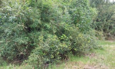 Casa en venta en MAFIL