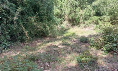 Casa en venta en MAFIL