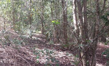 Casa en venta en MAFIL