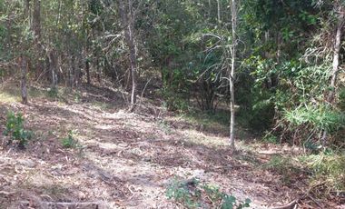 Casa en venta en MAFIL