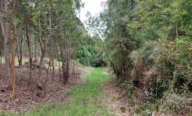 Casa en venta en MAFIL