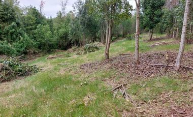 Casa en venta en MAFIL