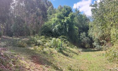 Casa en venta en MAFIL