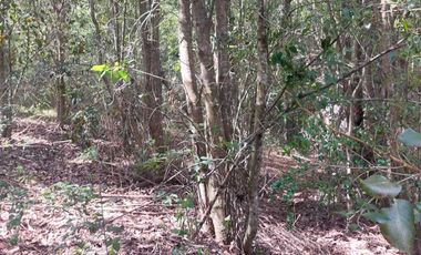 Casa en venta en MAFIL