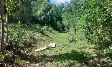 Casa en venta en MAFIL