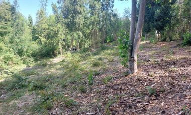 Casa en venta en MAFIL