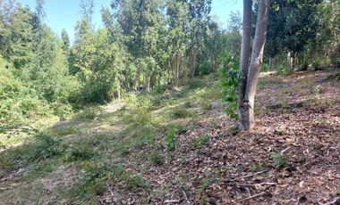 Casa en venta en MAFIL