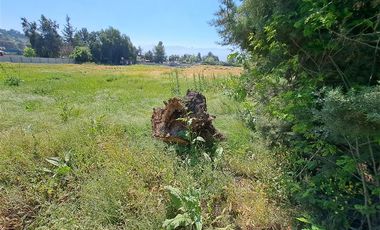 Terreno Construccion  en Arriendo en El alba 2 / Av. Chicureo