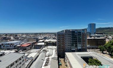 Departamento en Arriendo en Sector centro, frente a Falabella