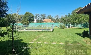 Casa en Arriendo en COLEGIO TREBULCO, CAMINO CARAMPANGUE, AUTOPISTA DEL SOL