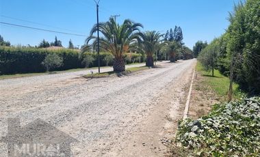 Casa en Arriendo en COLEGIO TREBULCO, CAMINO CARAMPANGUE, AUTOPISTA DEL SOL
