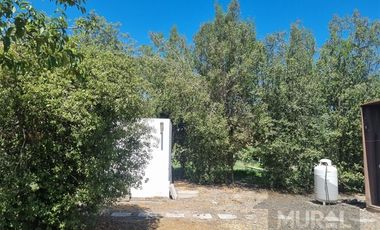 Casa en Arriendo en COLEGIO TREBULCO, CAMINO CARAMPANGUE, AUTOPISTA DEL SOL