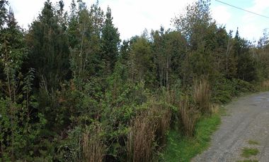 Parcela en Venta en A 15 Min de Pto Montt. Cerca de servicios básicos