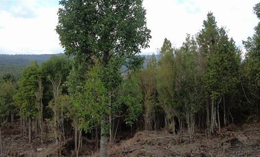 Parcela en Venta en A 15 Min de Pto Montt. Cerca de servicios básicos