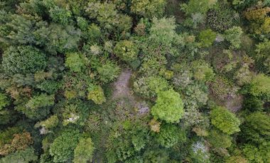 Parcela en Venta en A 15 Min de Pto Montt. Cerca de servicios básicos