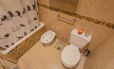 VENTA PH 2 AMB VILLA PUEYRREDON BALCON Y TERRAZA