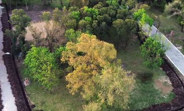 LOTES EN VENTA ALTOS DE SAN CARLOS PABLO NOGUÉS