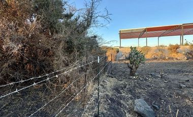 TERRENO COMERCIAL EN RENTA CIUDAD MADERAS MARQUÉS