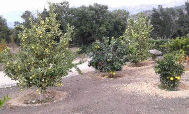 A SOLO 1 HORA DE SANTIAGO ESPECTACULAR CASA CAMPO