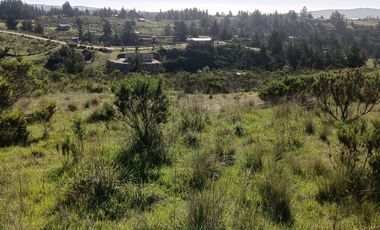 EN VENTA PARCELA PLANA LA AGUADA DE BUCALEMU