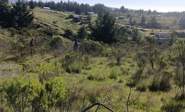 EN VENTA PARCELA PLANA LA AGUADA DE BUCALEMU