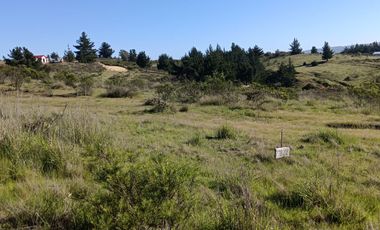 EN VENTA PARCELA PLANA LA AGUADA DE BUCALEMU