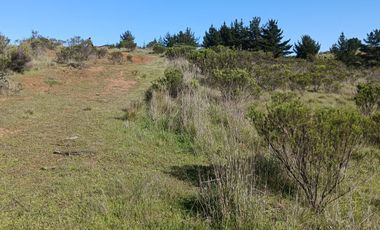 EN VENTA PARCELA PLANA LA AGUADA DE BUCALEMU