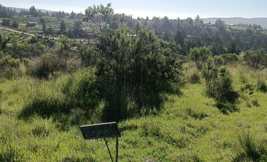 EN VENTA PARCELA PLANA LA AGUADA DE BUCALEMU