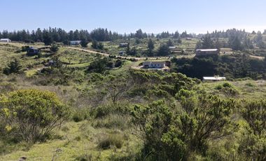 EN VENTA PARCELA PLANA LA AGUADA DE BUCALEMU