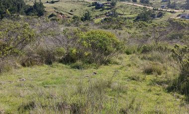 EN VENTA PARCELA PLANA LA AGUADA DE BUCALEMU