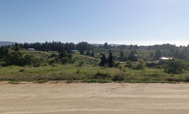 EN VENTA PARCELA PLANA LA AGUADA DE BUCALEMU